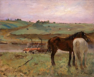 Horses in a Meadow by Edgar Degas